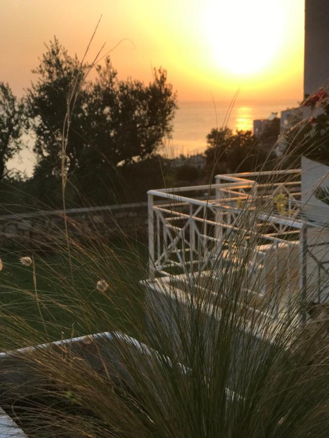 Villa 61 Sea And Sunset View Dhërmi Extérieur photo